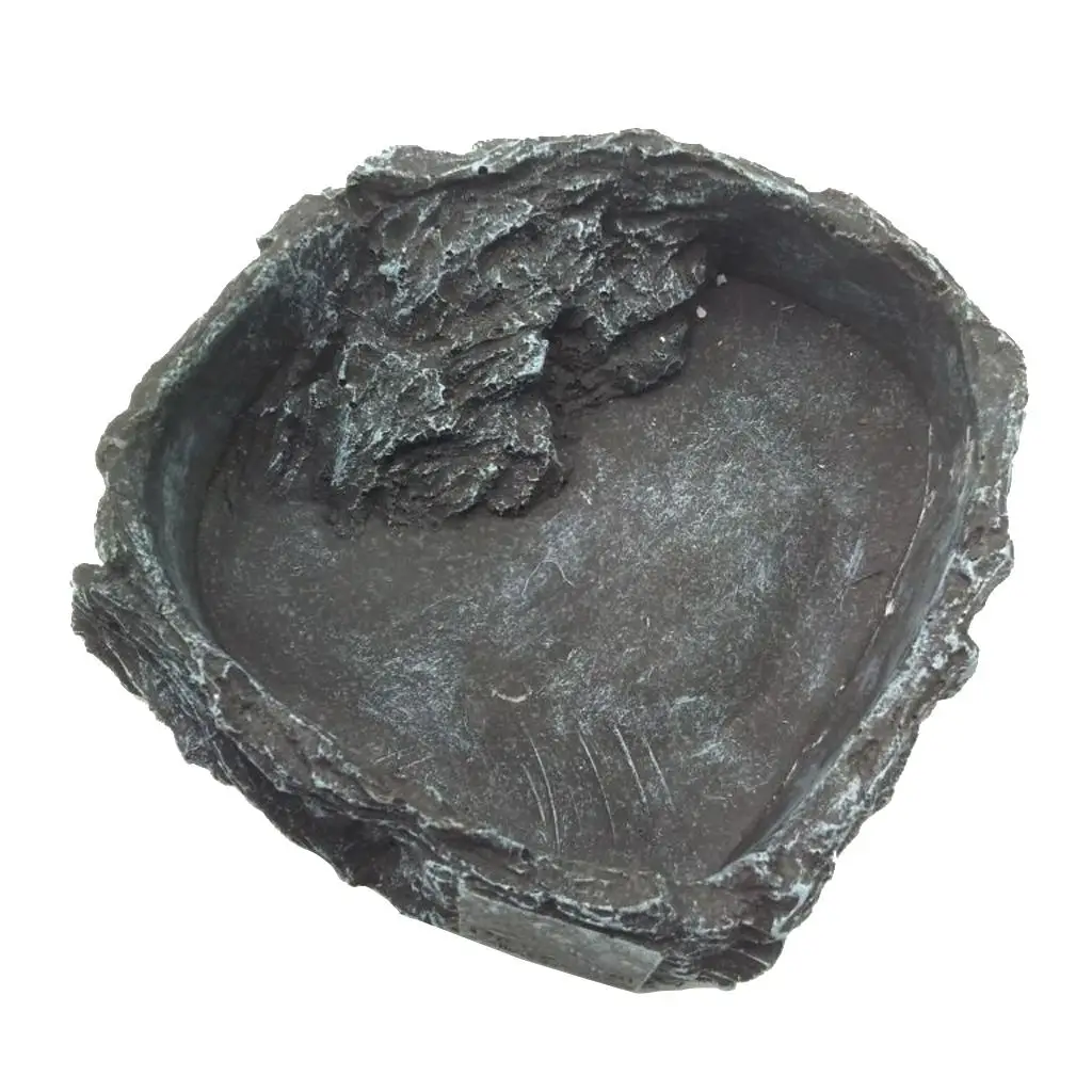 Plato cuadrado para reptiles