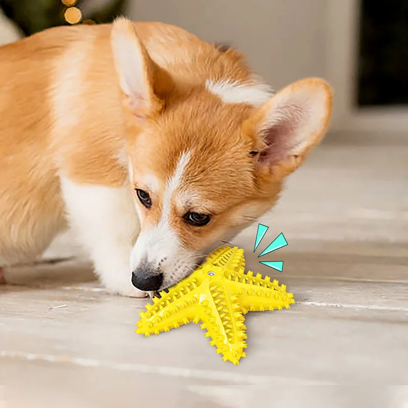 Juguete masticable para perro con forma de estrella de mar y sonido - imagen 5