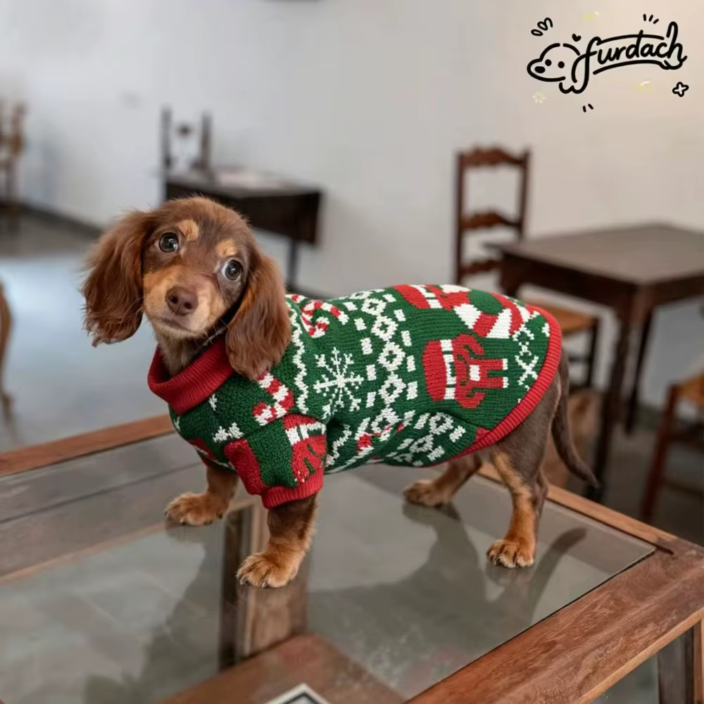 Abrigo de invierno navideño festivo para perro Dachshund salchicha - imagen 3