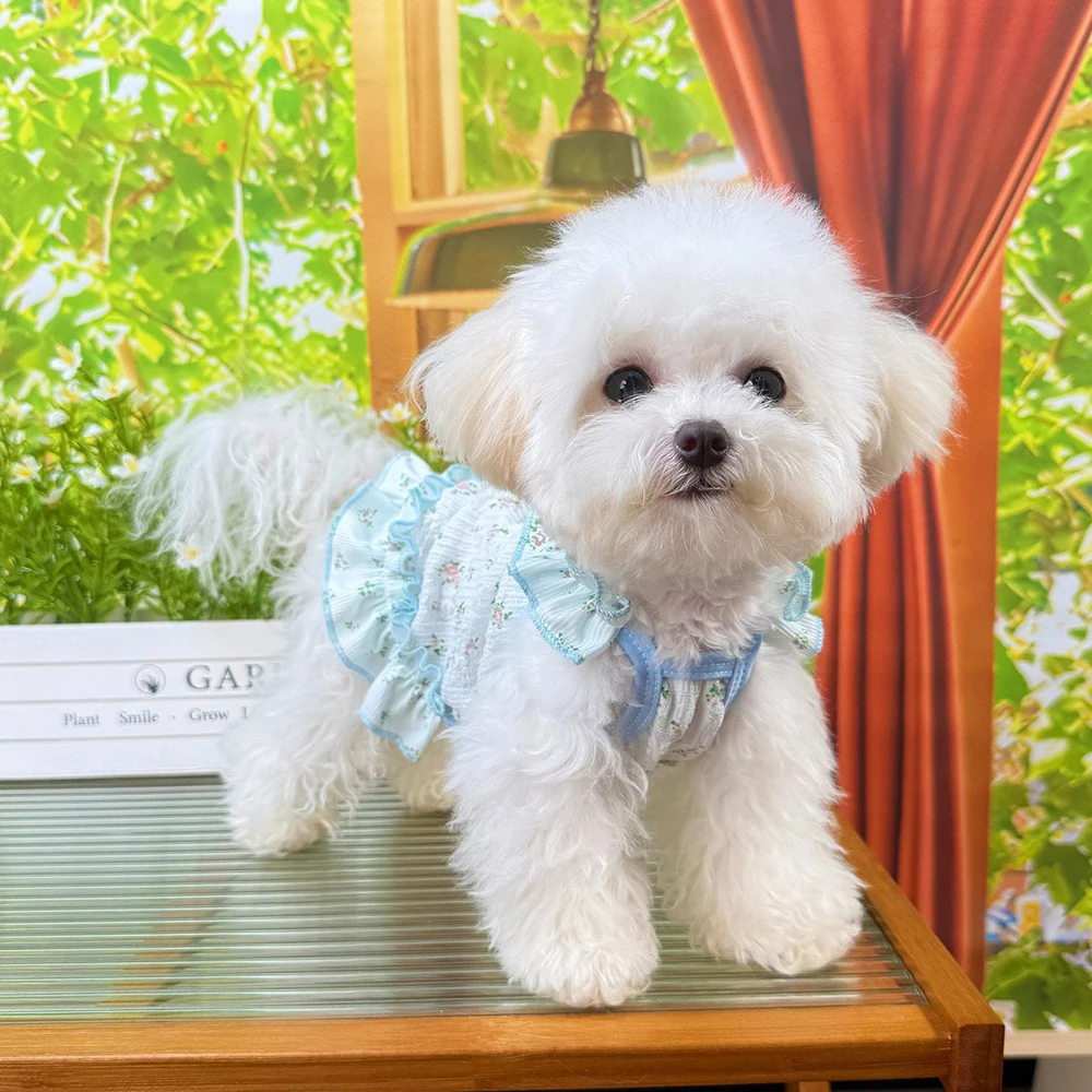 Falda halter fresca para gatos medianos
