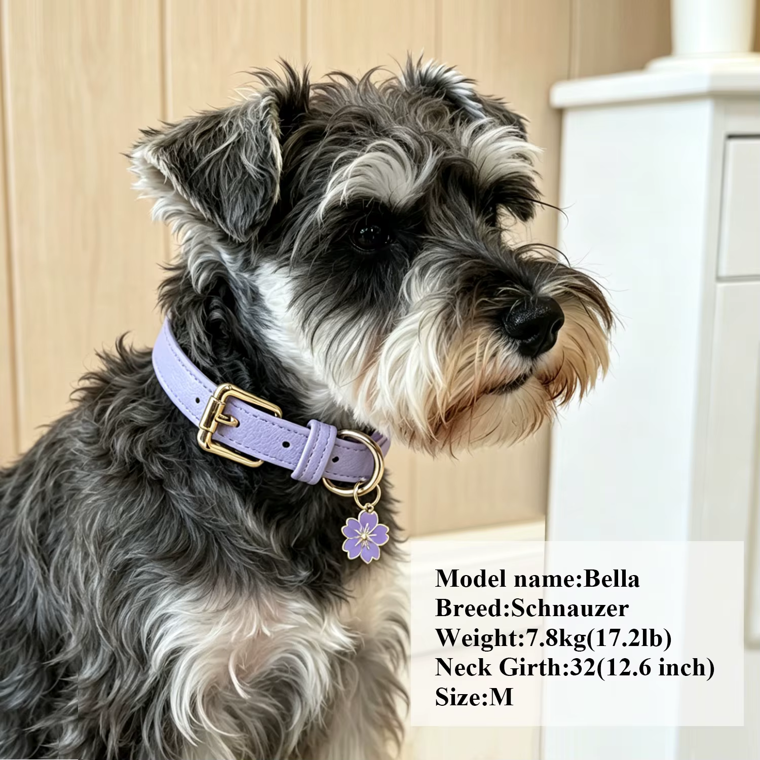 Collar personalizado para perros y gatos con cuero PU suave y grabado - imagen 5