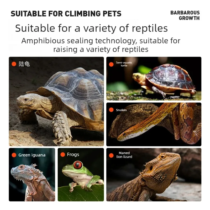 Terrario con malla extraíble para reptiles
