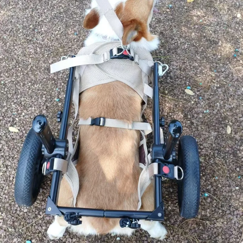 Silla de ruedas para perros con soporte trasero, ajustable y ligera - imagen 2