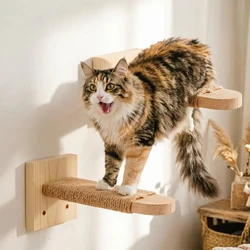Rascador de pared para gatos: estantes y hamaca en interior