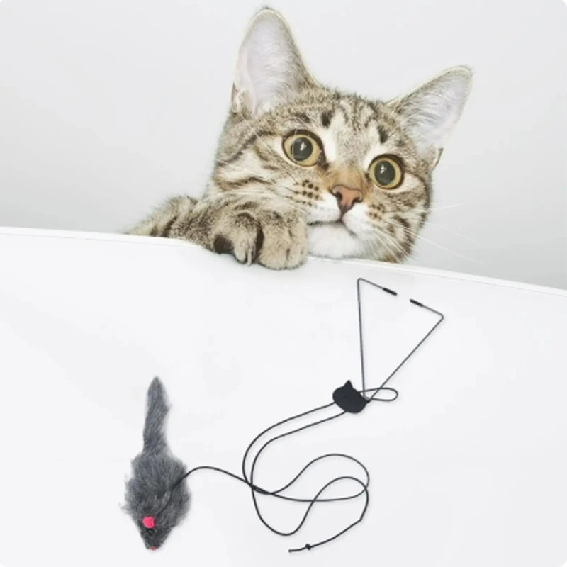 Gato jugando con el juguete en ambiente de sala de estar