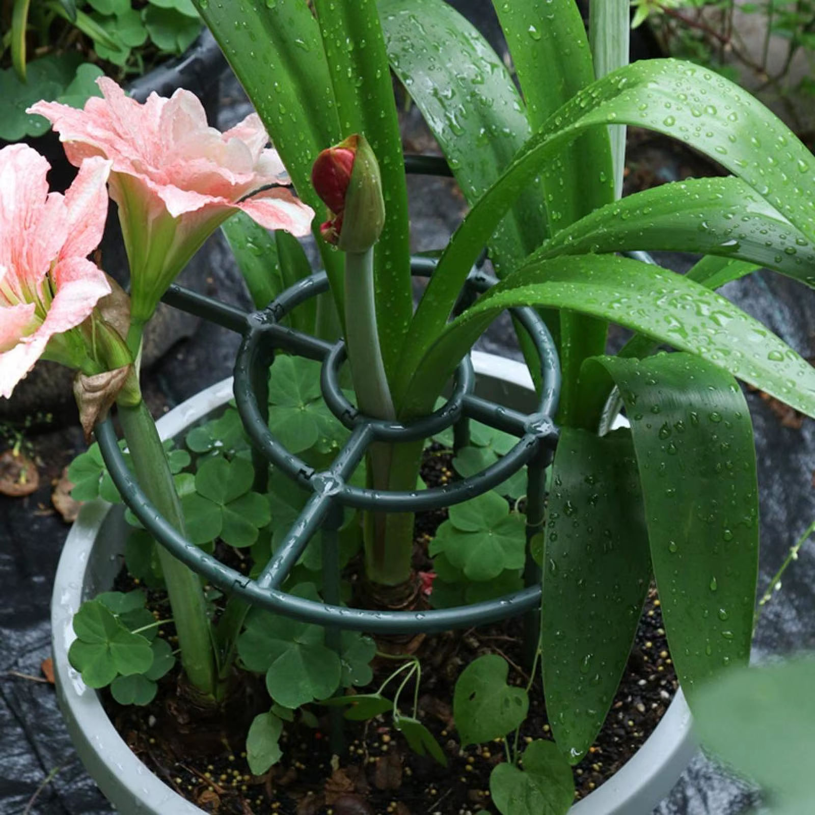 Trepador para gatos con soporte tipo torre de jardín para plantas - imagen 3