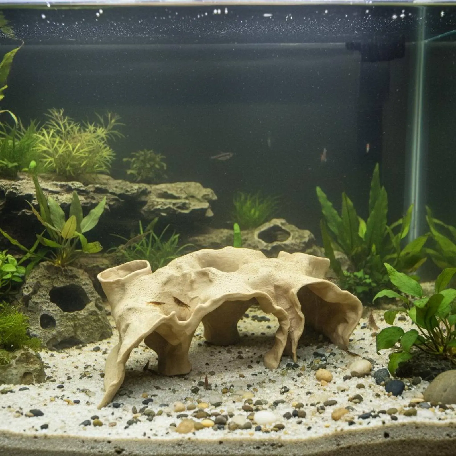 Cueva de acuario para camarones con aspecto natural, resistente - imagen 5
