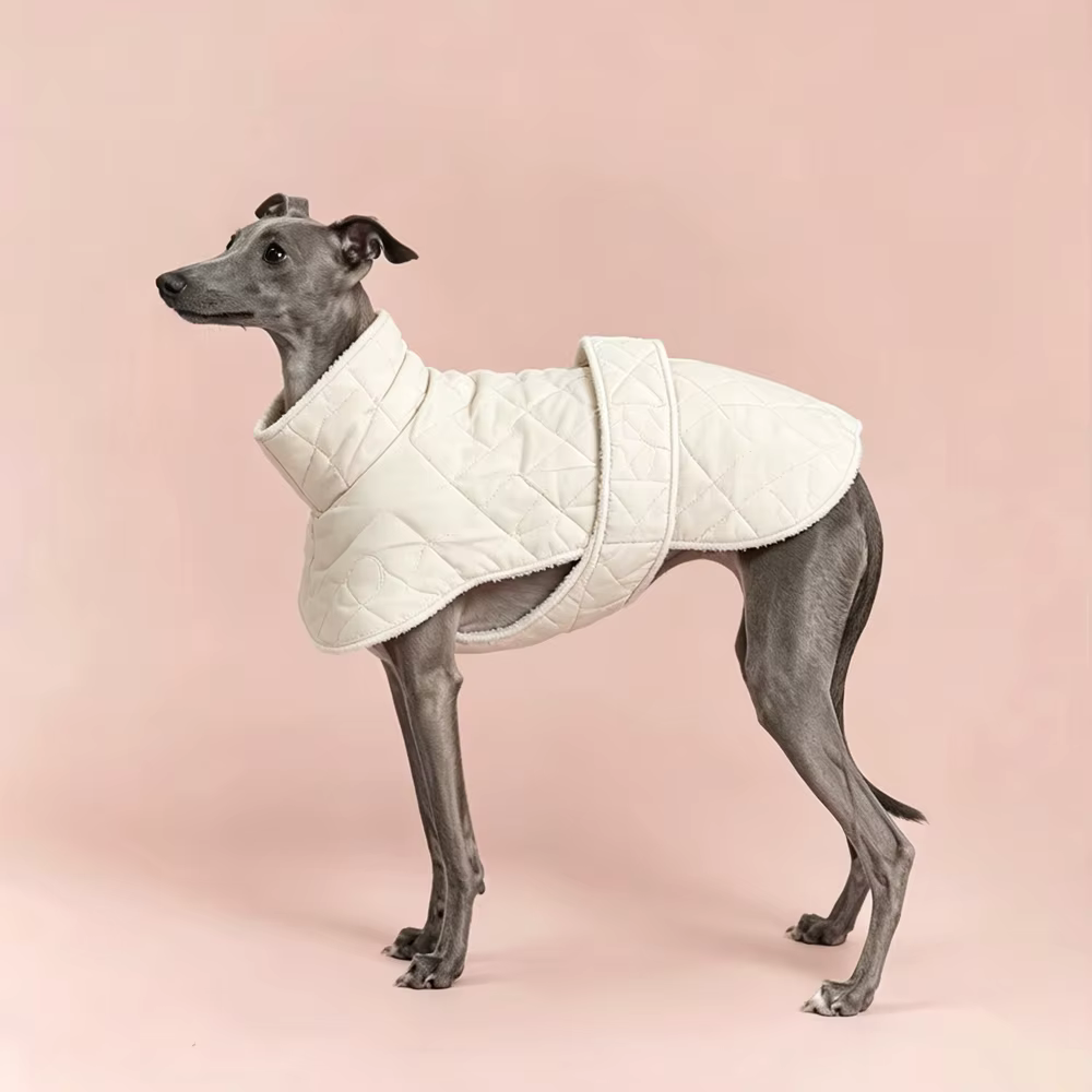 Abrigo azul invierno para galgo italiano y whippet - Cortavientos ajustable - imagen 4