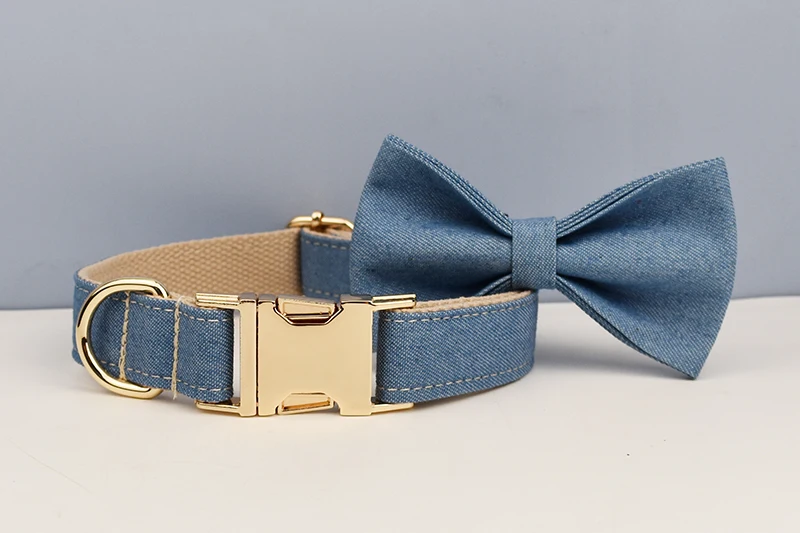 Perro pequeño usando collar XS con correa corta