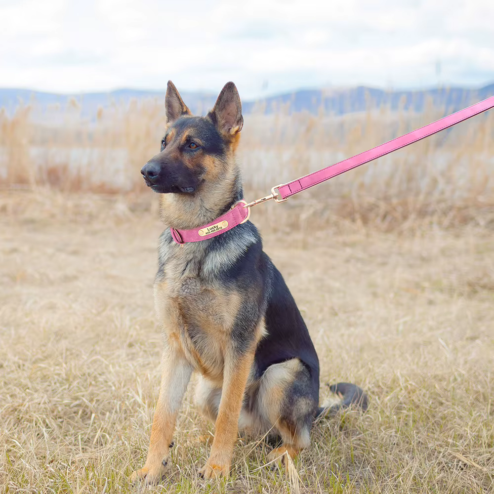 Correa acolchada para perro de cuero PU, extra cómoda y duradera - imagen 5