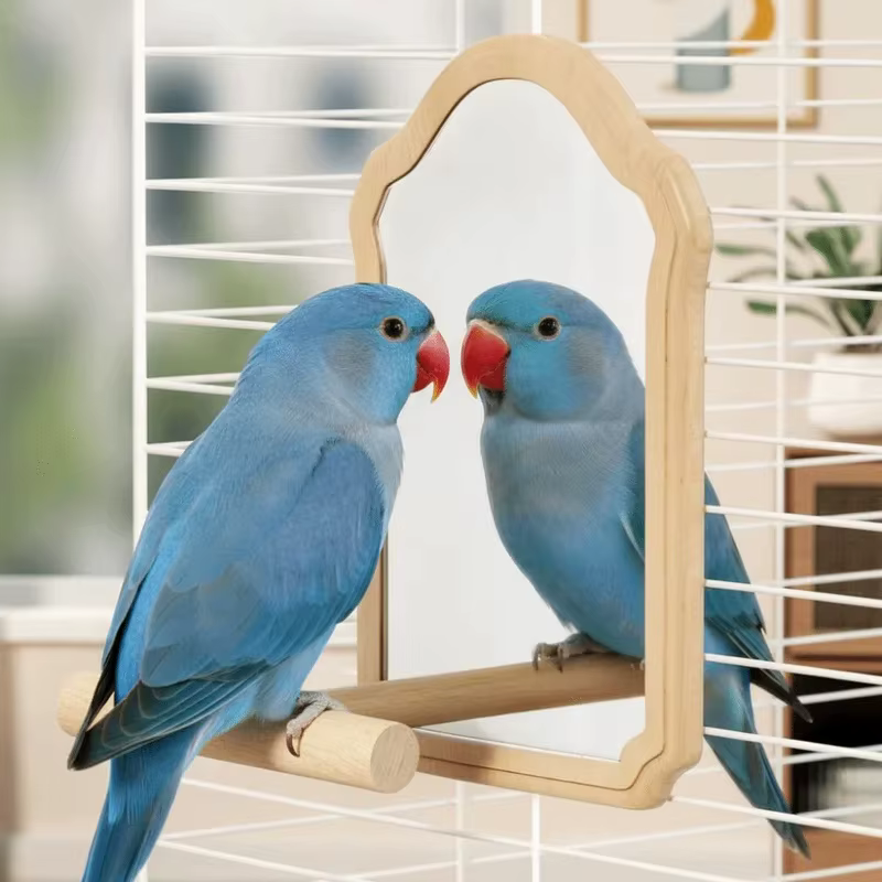 Juguete Espejo con Poseyedero para Aves Pequeñas – Interactivo y Resistente a Mordiscos - imagen 3