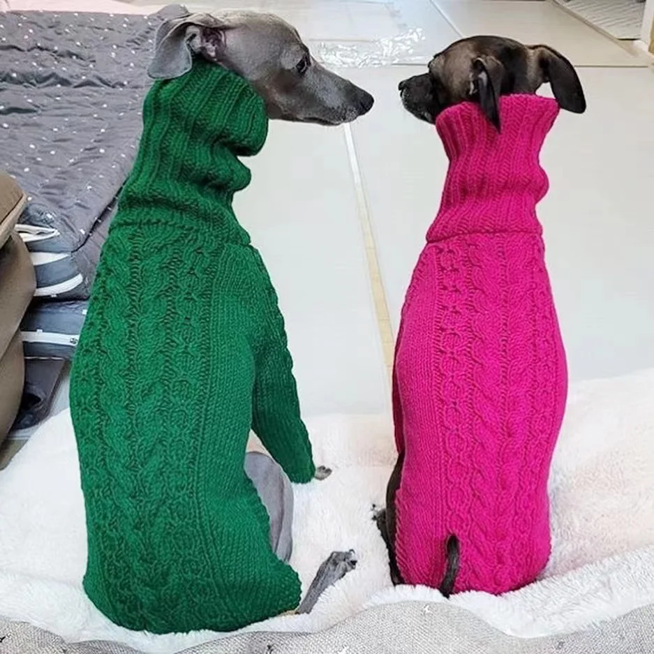 Side view of dog walking wearing the sweater