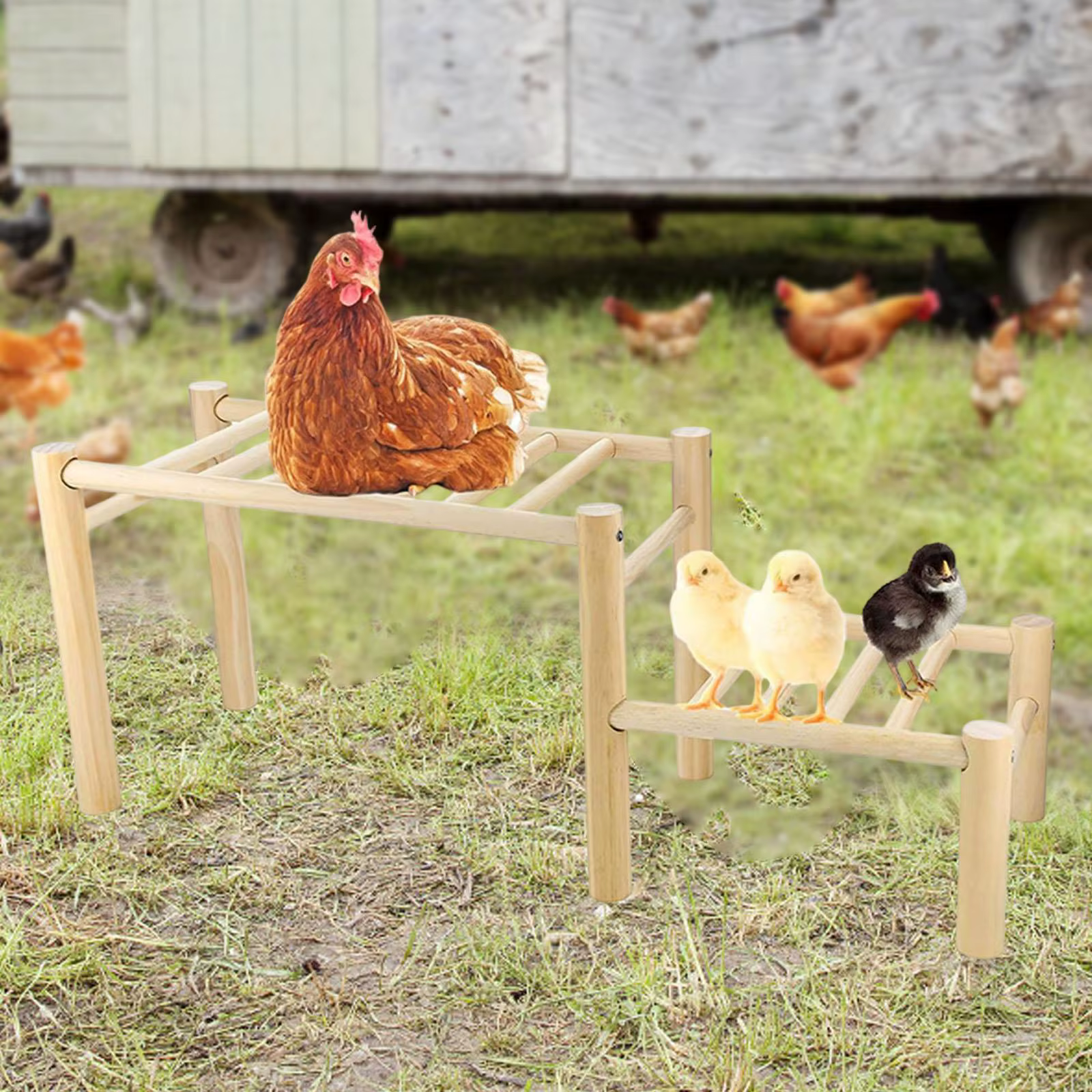Escalera de madera estable para gallinero con dos plataformas