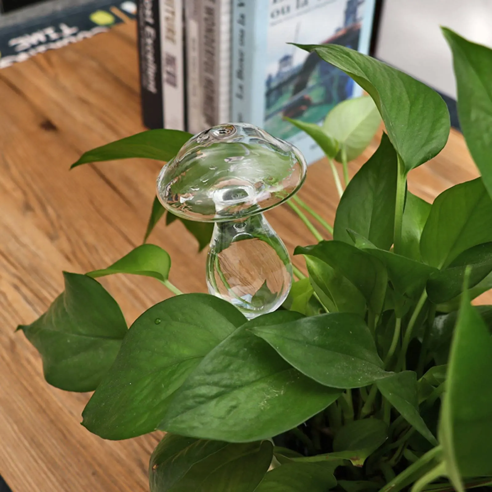 Globo de riego automático para plantas: sonda de vidrio artesanal - imagen 2