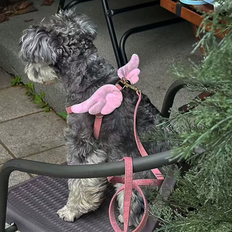 Arnés con correa de alas de ángel para perros pequeños y medianos - imagen 5