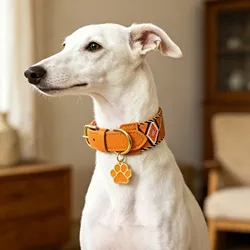 Collar y correa para perro de cuero genuino con diseño geométrico ajustable