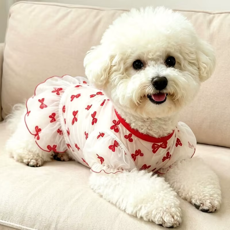 Vestido princesa para perro: verano lazo rojo y azul, Chihuahua - imagen 3