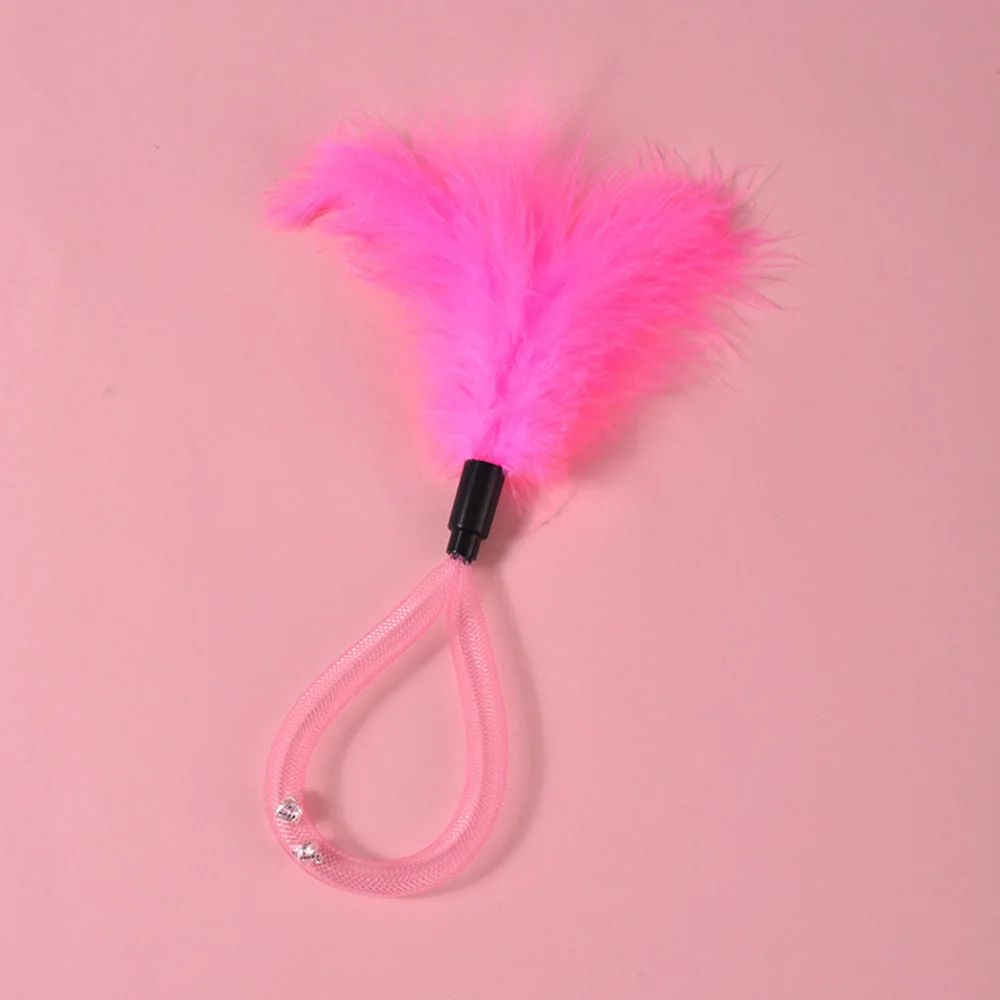 Juguete interactivo de plumas con campana para gato