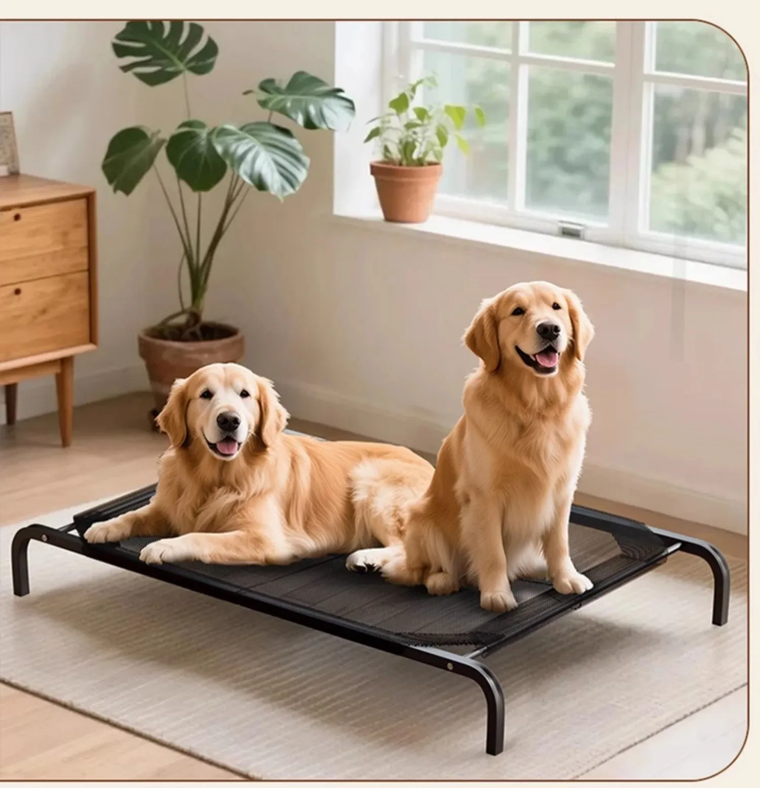 Cama para perros NIU DU RUI elevada