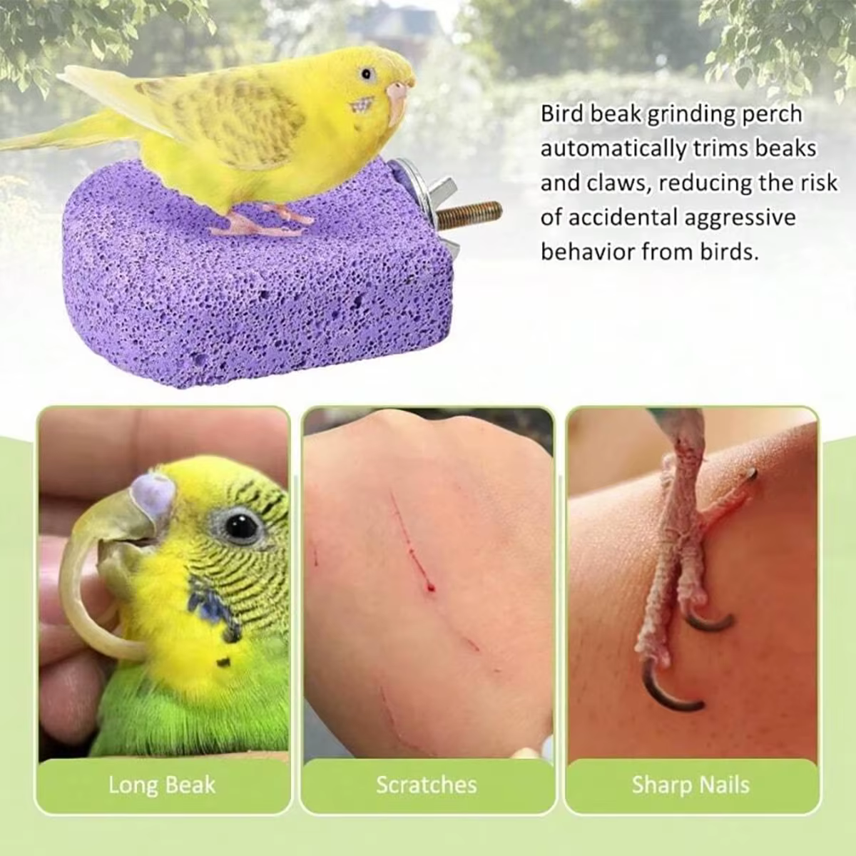 Mordedor masticable para loros y aves pequeñas – Percha enriquecida con calcio - imagen 2