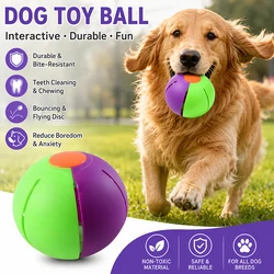 Juguete interactivo para perros dos en uno: pelota y disco volador