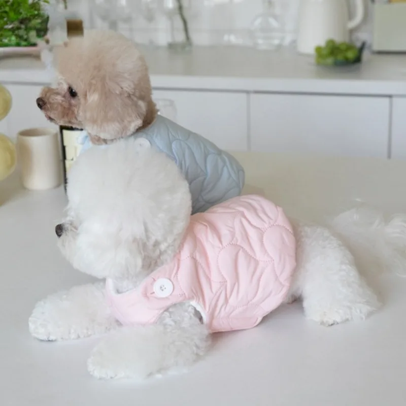 Perro luciendo el chaleco en ambiente navideño con decoración de fondo