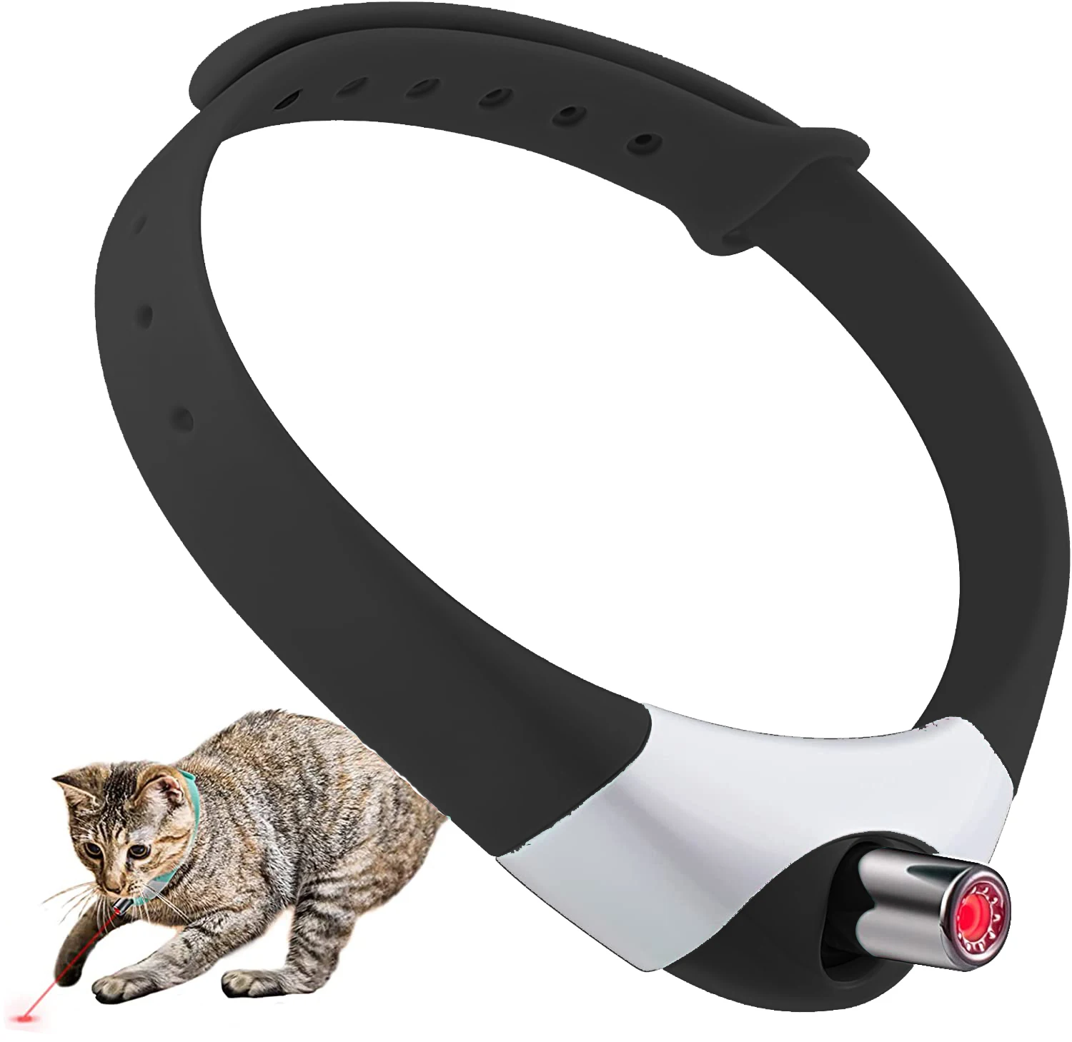 Gatito perseguía un láser desde el collar ATUBAN