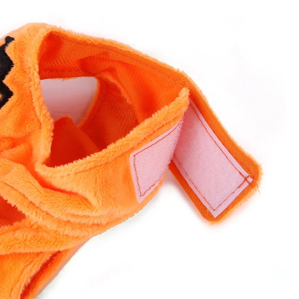 Mascota con disfraz completo