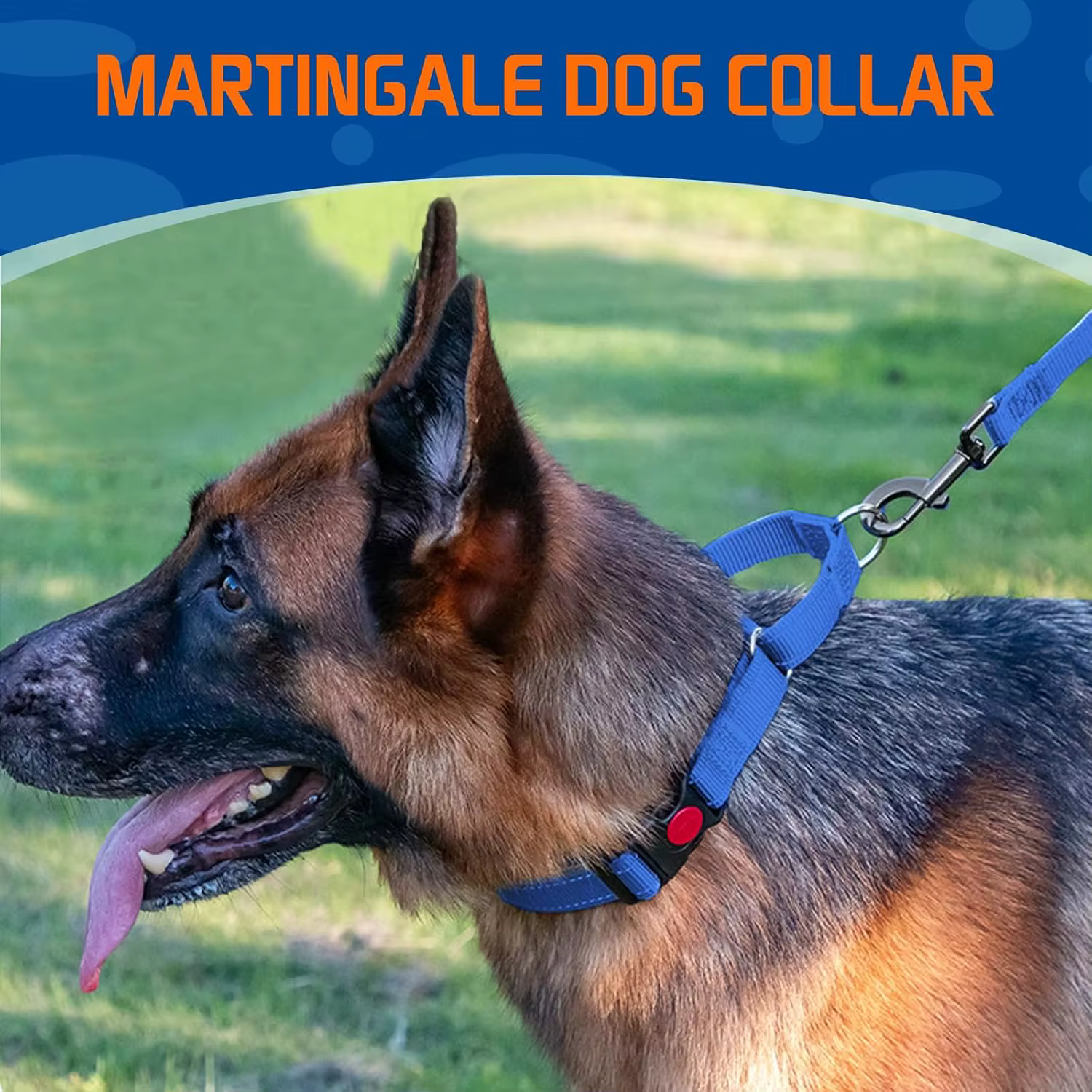 Collar Martingale Reflectante para Perro – Antitirones y Antiestrangulamiento - imagen 4