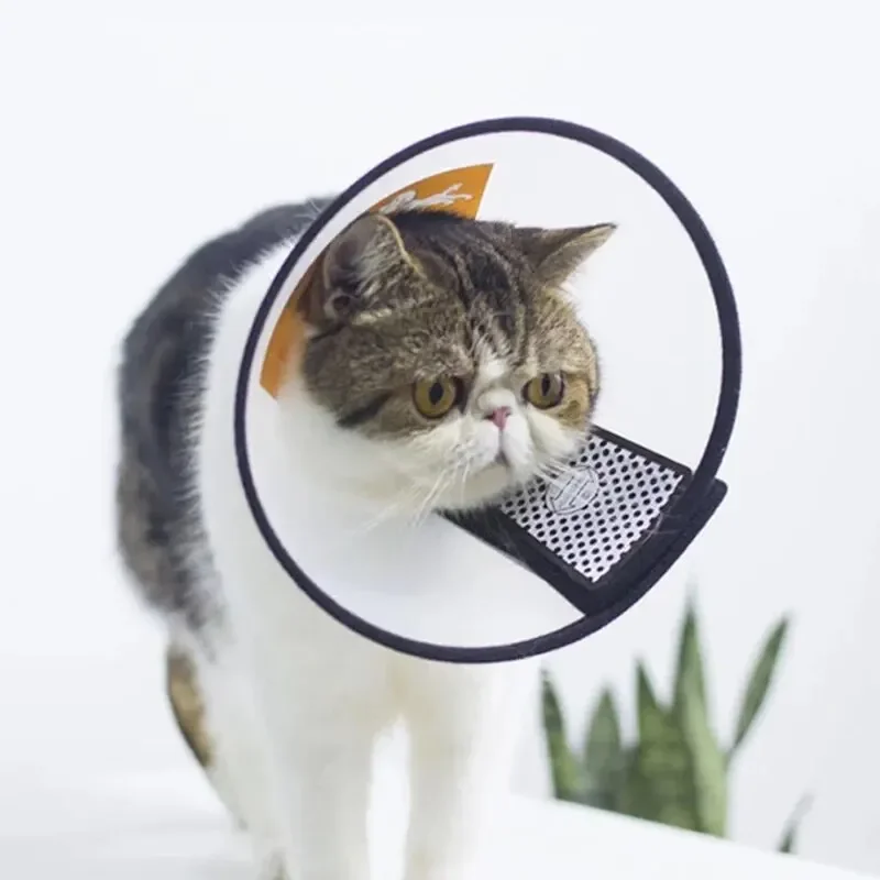 Collar antiarañazos impermeable tipo Elizabeth para gatos y perros - imagen 2