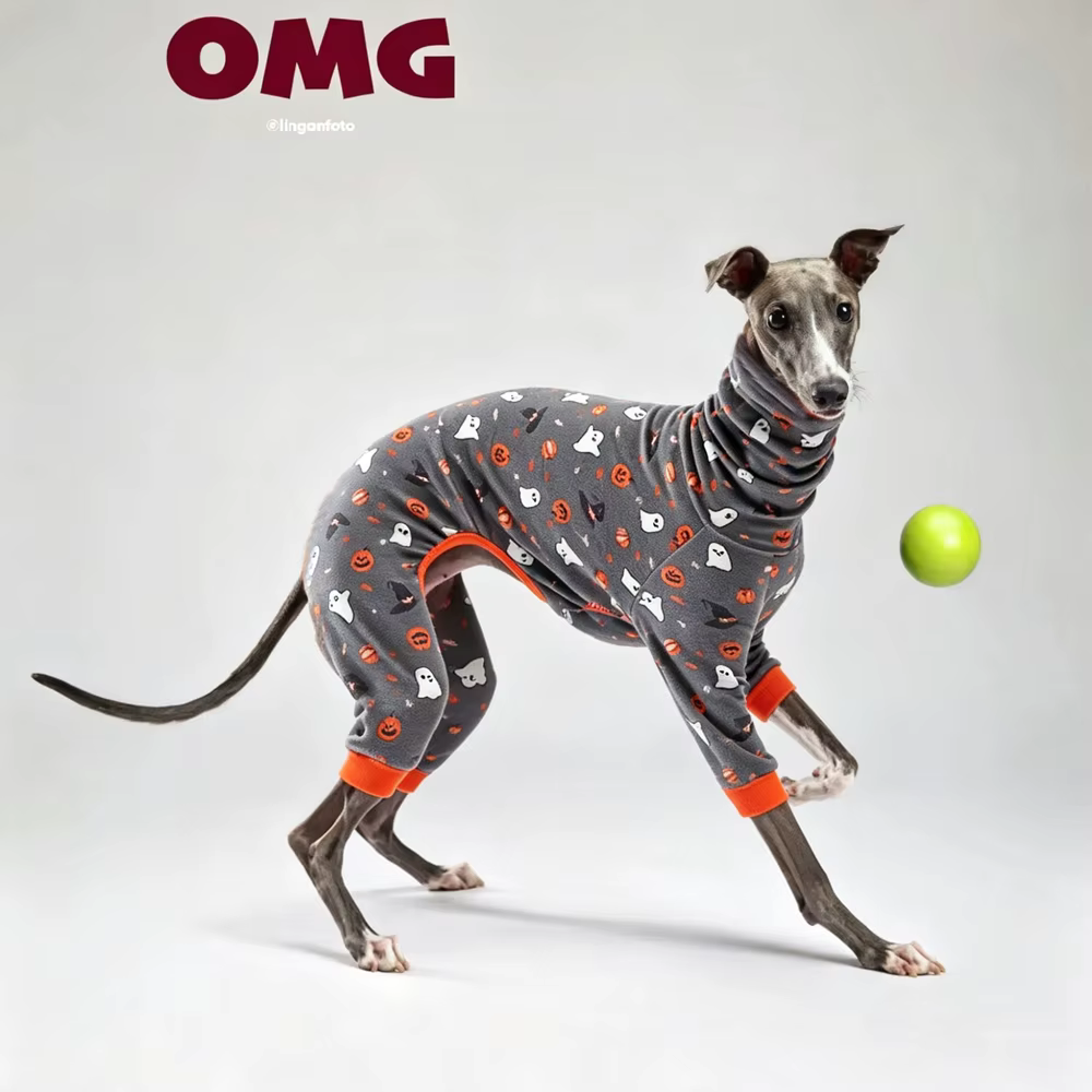 Sudadera cálida de calabaza Halloween para galgos y Whippets - imagen 4