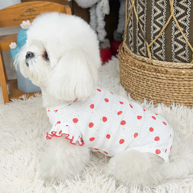 Sudadera transpirable para perros y gatos con estampado de verano