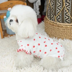 Sudadera transpirable para perros y gatos con estampado de verano