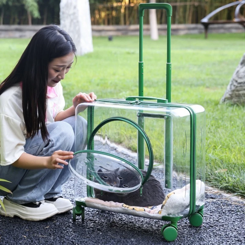 Bolsa transportadora verde con estructura rígida y ruedas