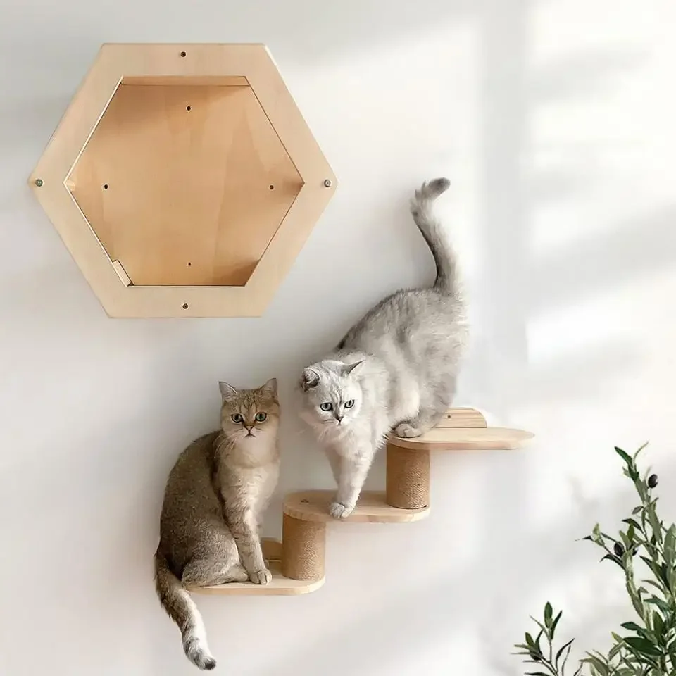 Cápsula de pared y árbol para gatos en uso