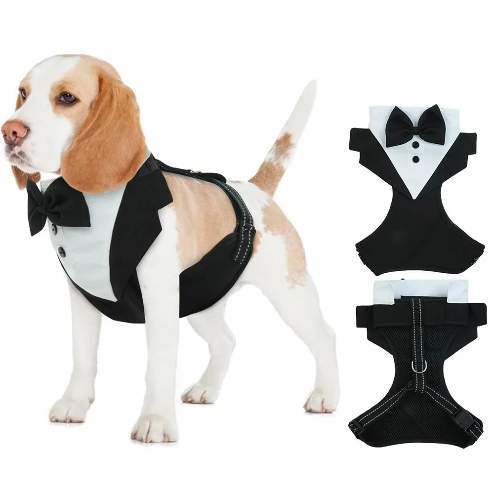 Disfraz Bulldog Francés para perros: traje caballero para fiesta