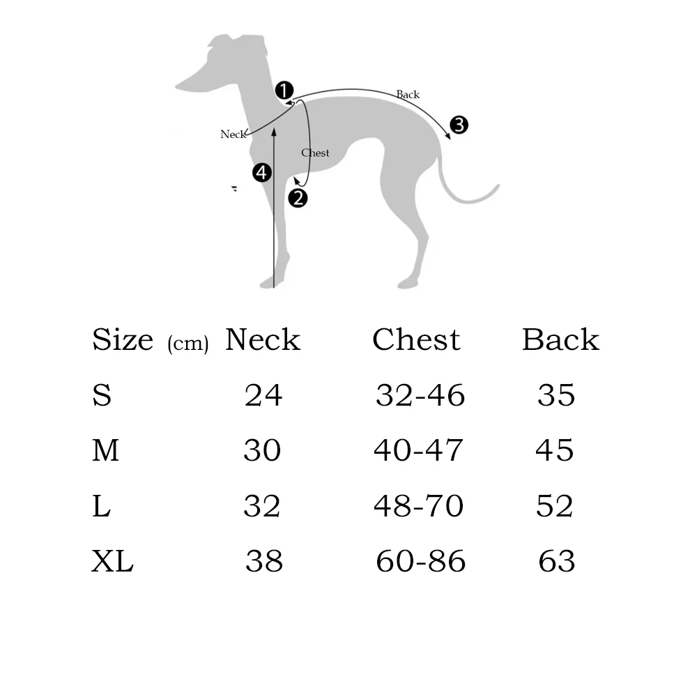 Prenda puesta sobre un Whippet gris corriendo en parque