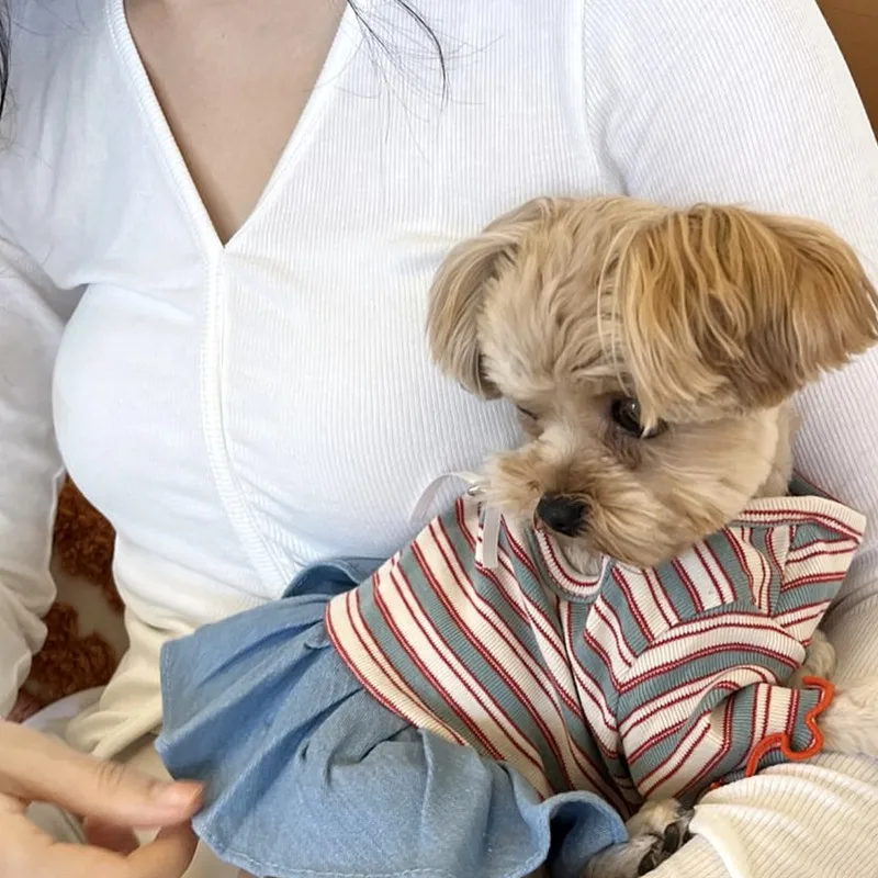 Chaleco de algodón a rayas para perros Chihuahua, verano fresco - imagen 4