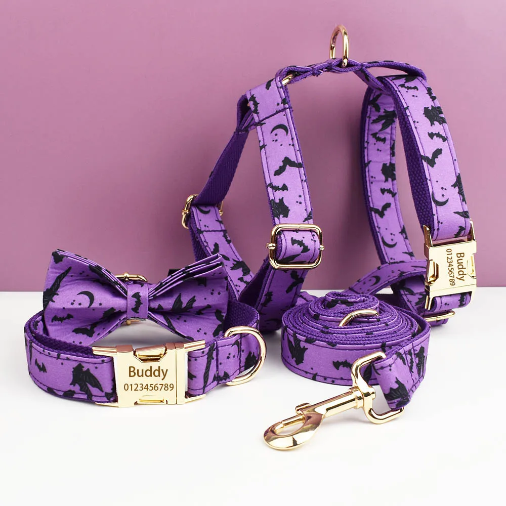 Conjunto completo de collar, correa y arnés