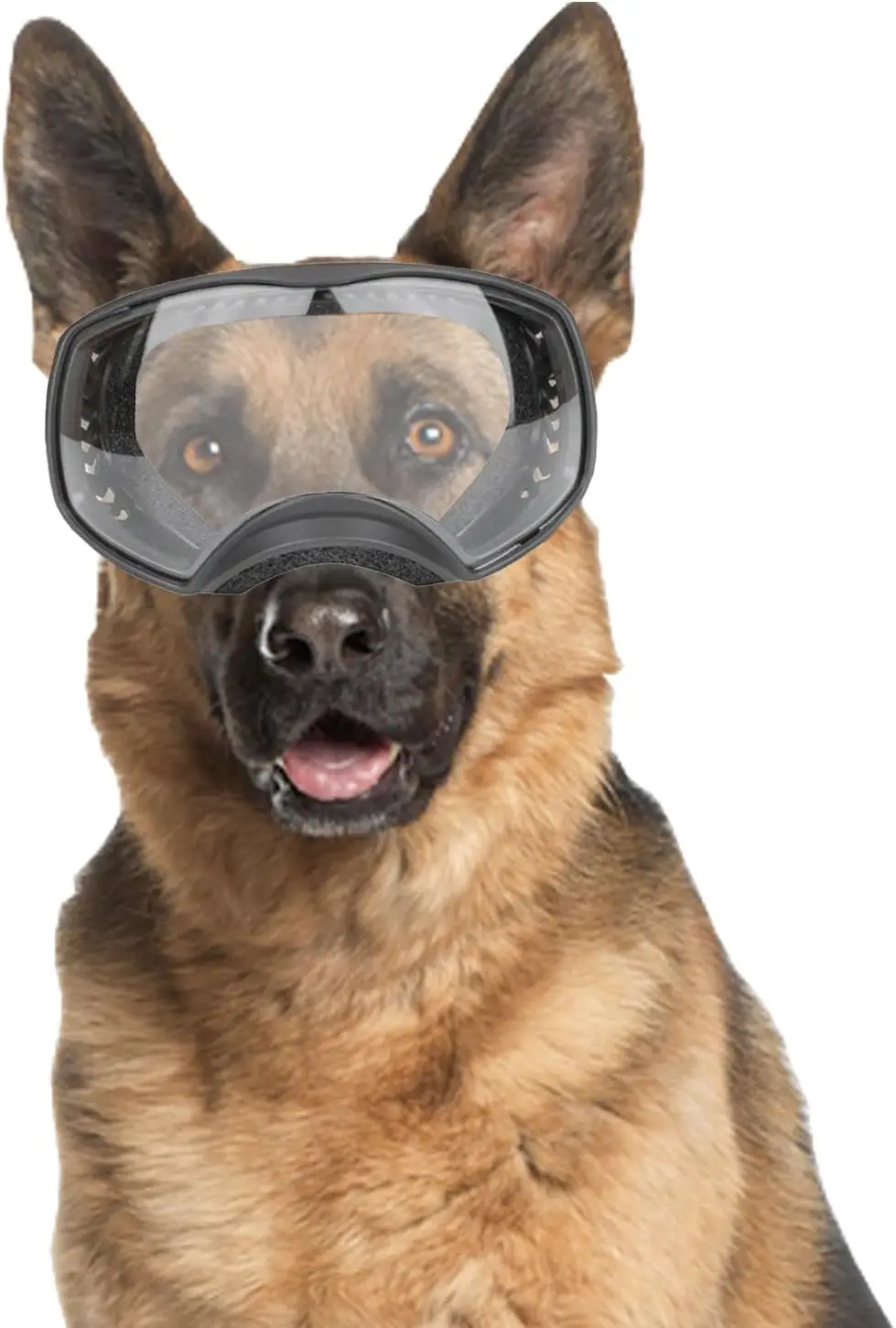 Gafas suaves para mascotas en uso diario