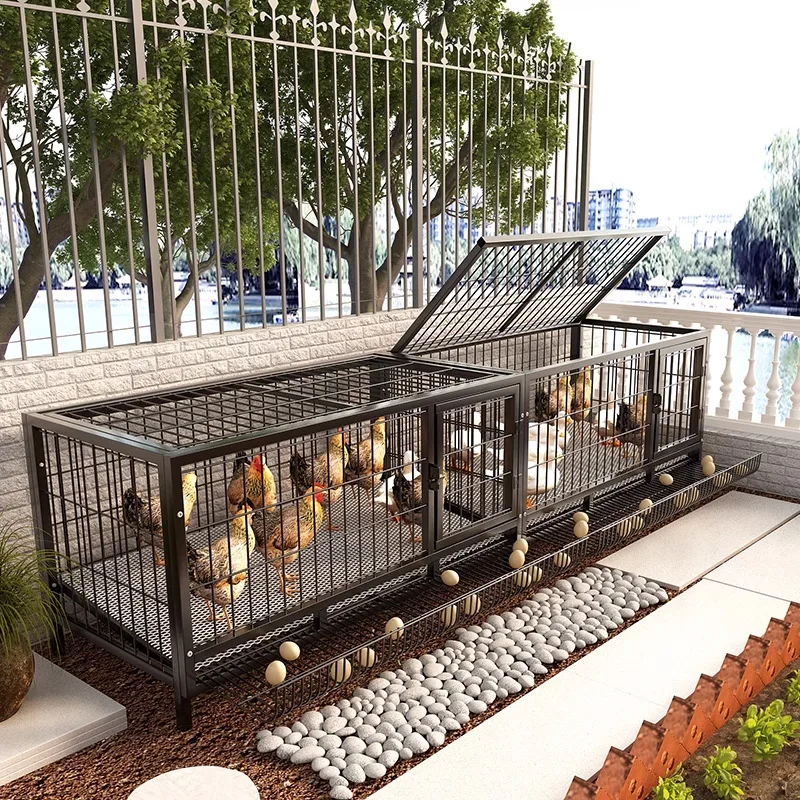 Jaula exterior antirrobo de acero galvanizado para aves y pollitos - imagen 3