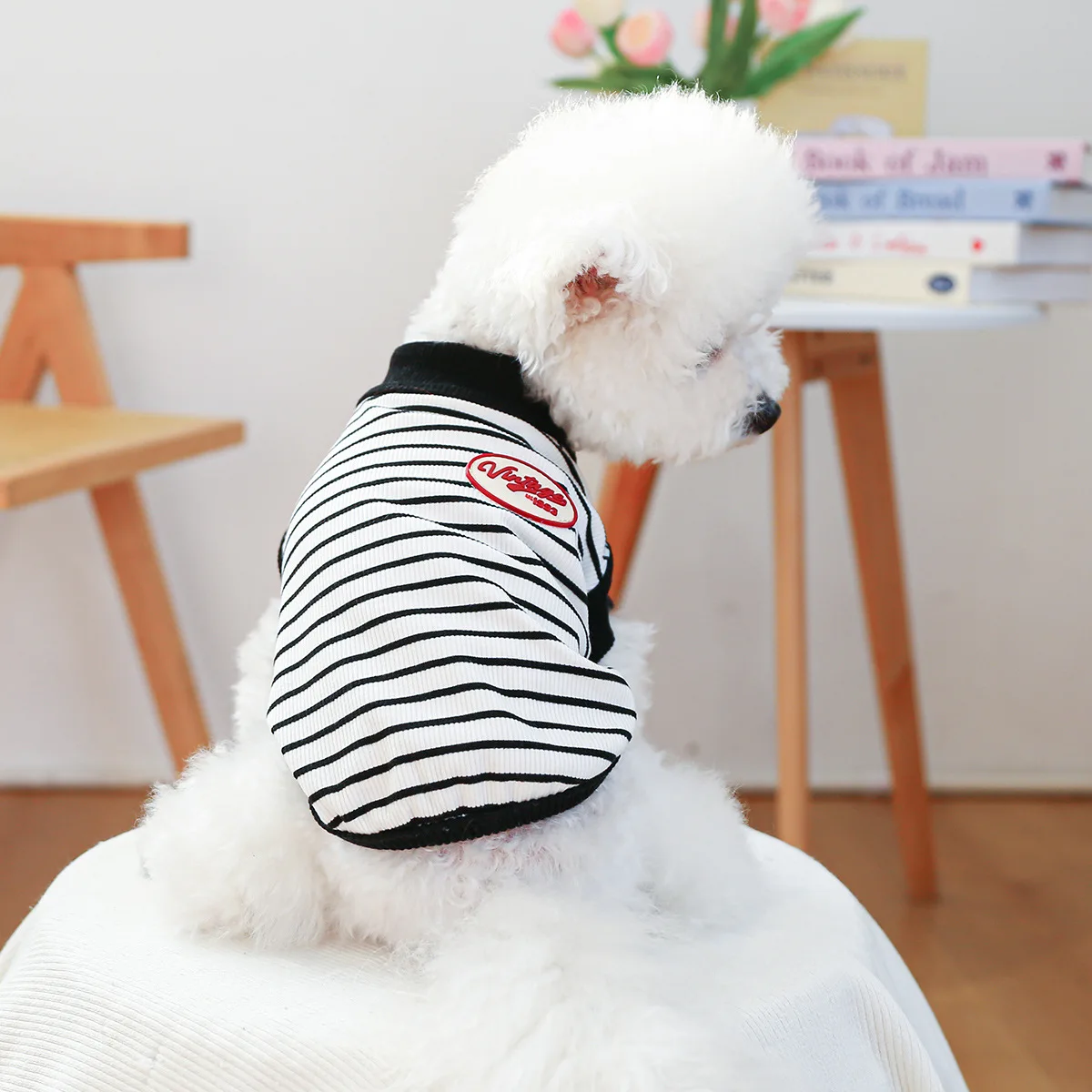 Mascota usando camiseta en interiores