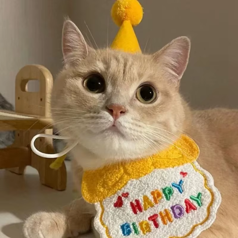 Kit de Fiesta para Gatos y Perros – Gorro, Bufanda y Babero para Cumpleaños - imagen 2