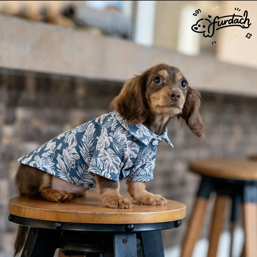 Ropa para perros Dachshund: camisa algodón vacacional con hojas - imagen 4
