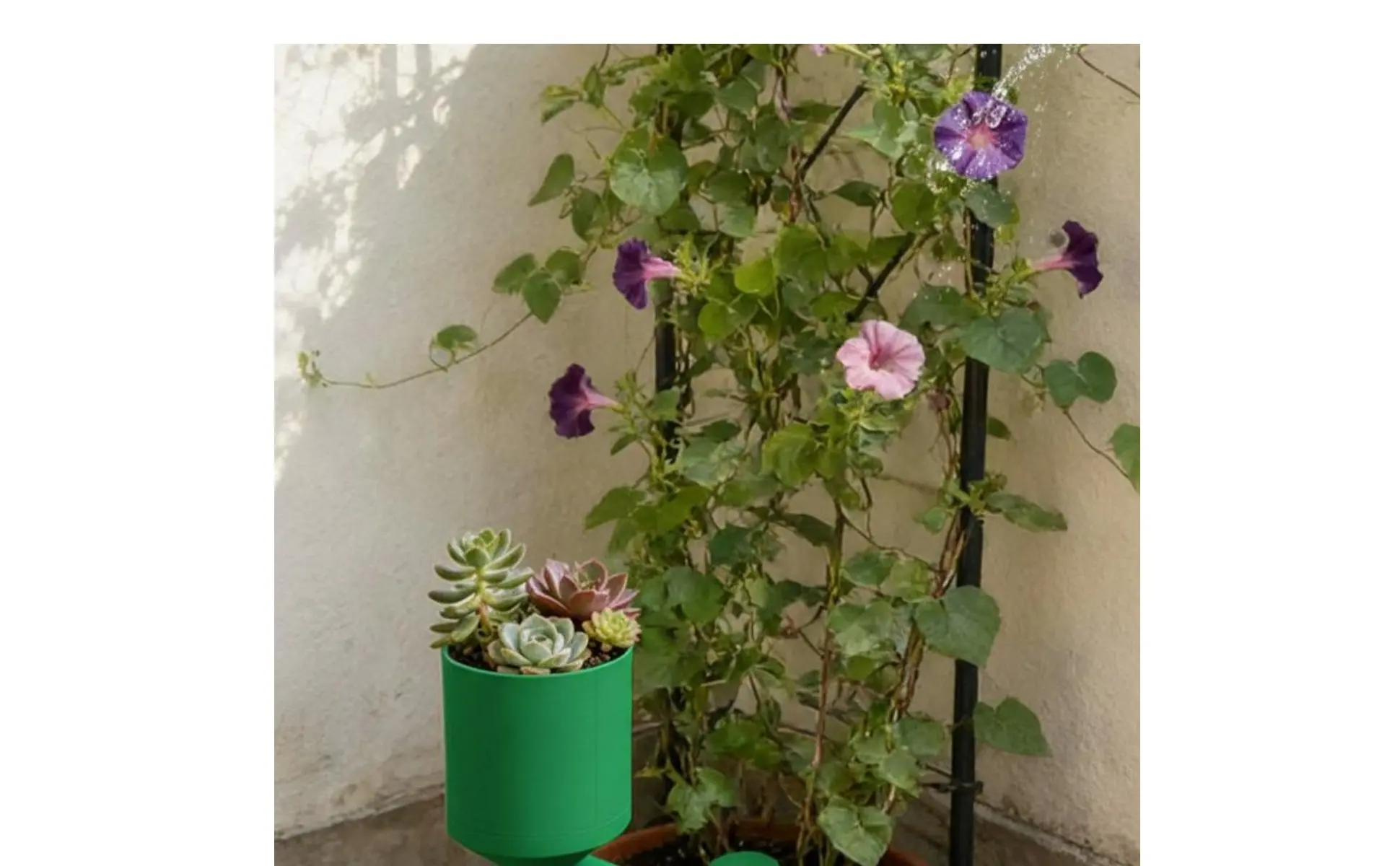 Riego uniforme para plantas de interior y exterior