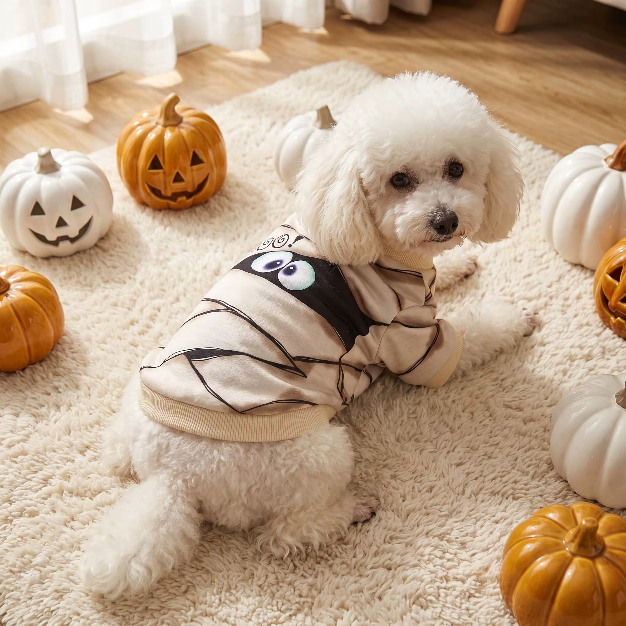 Perro pequeño con sudadera de Halloween con diseño de momia