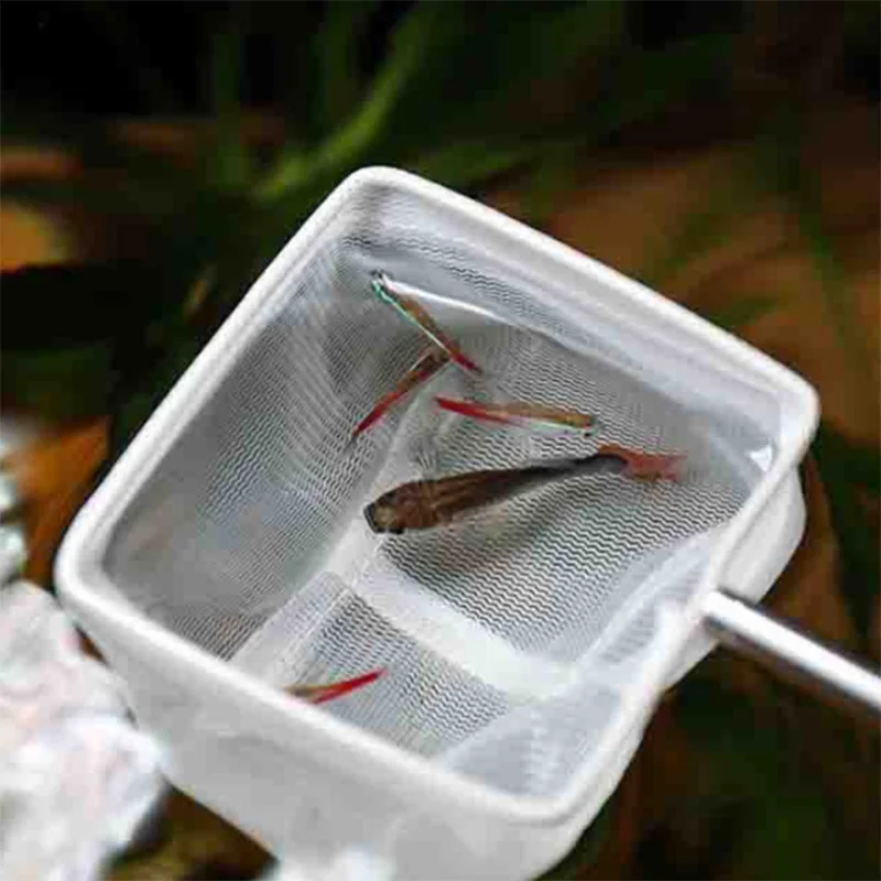 Red de pesca cuadrada acero inoxidable para acuario