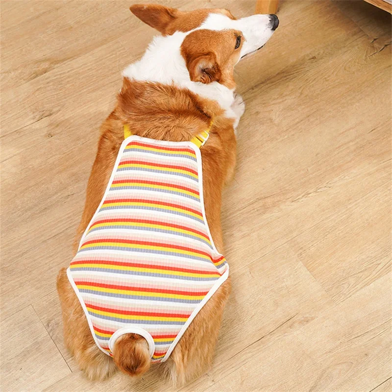 Pantalones para Bulldog francés en diferentes colores