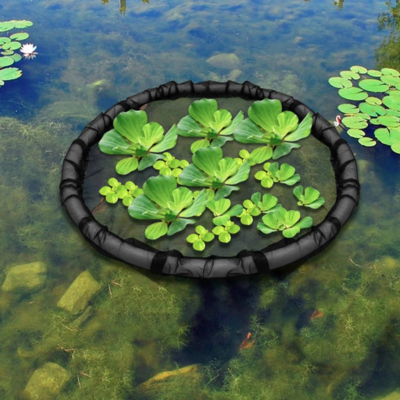 Red de protección flotante para plantas con borde acolchado - imagen 3