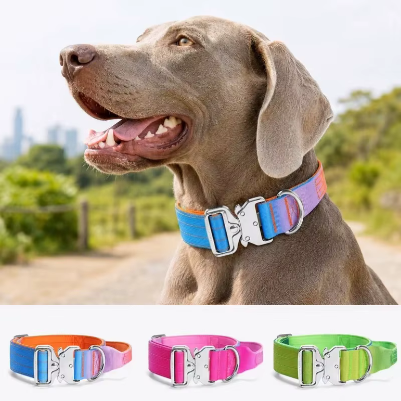 Collar Arcoíris Ajustable para Perros y Gatos – Lujo - imagen 5